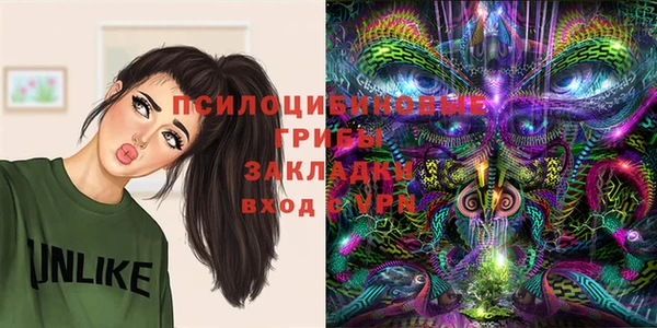 прущая мука Бородино