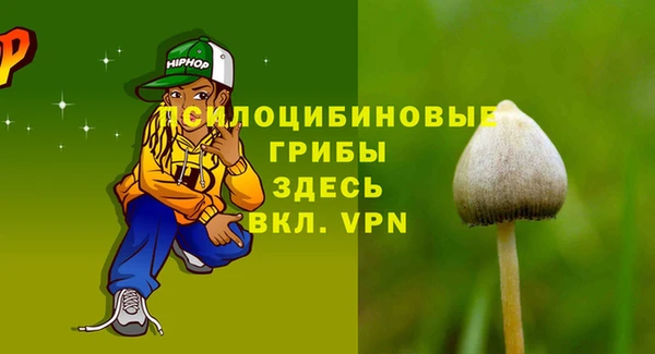 прущая мука Бородино