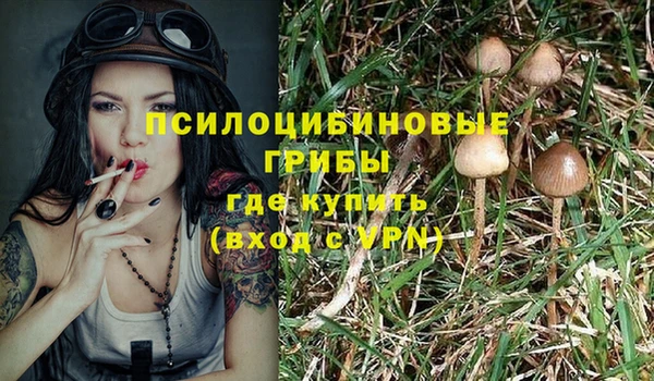 первитин Богородицк