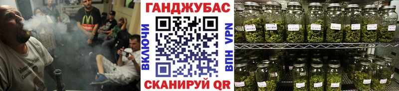 Бошки Шишки SATIVA & INDICA МЕГА рабочий сайт Электроугли купить наркотики сайты